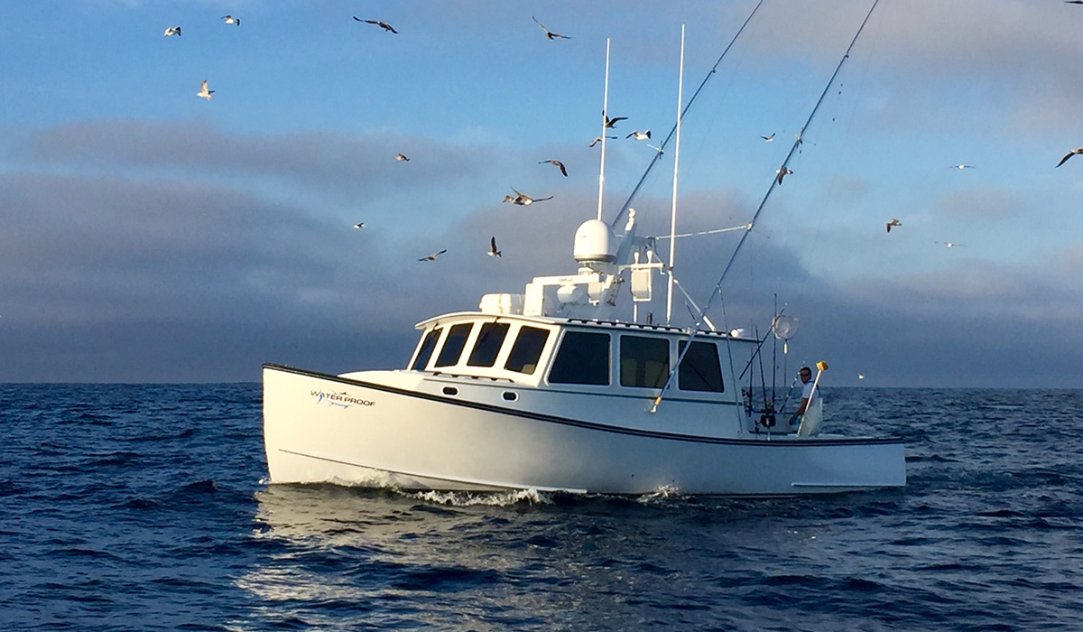 Photo of Water Proof boat on water