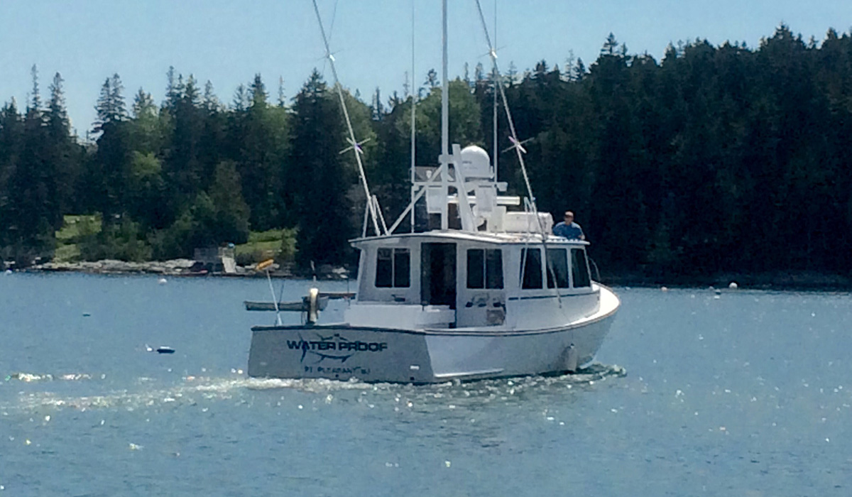 Photo of Water Proof boat on water